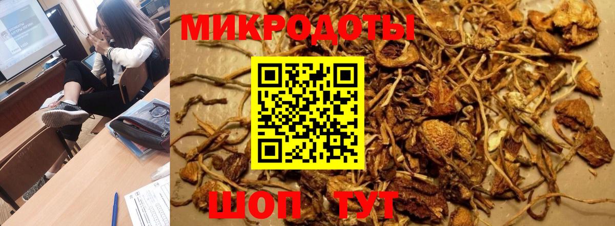 Ростов Великий  Псилоцибиновые грибы Psilocybine cubensis  Вход с VPN  Псилоцибиновые грибы Psilocybe 